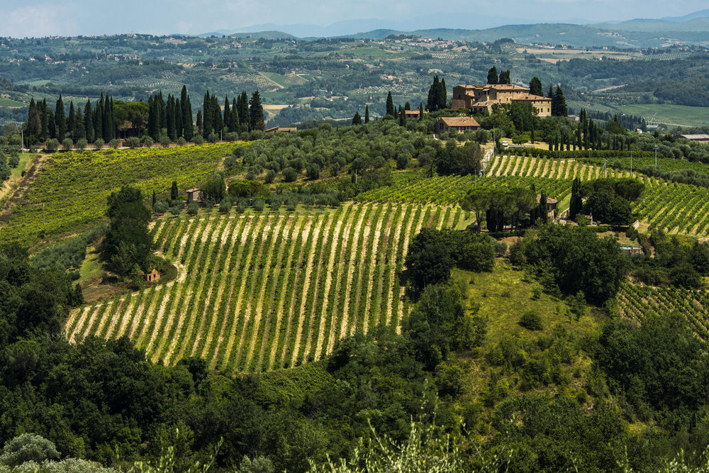 Vernaccia San Gimignano