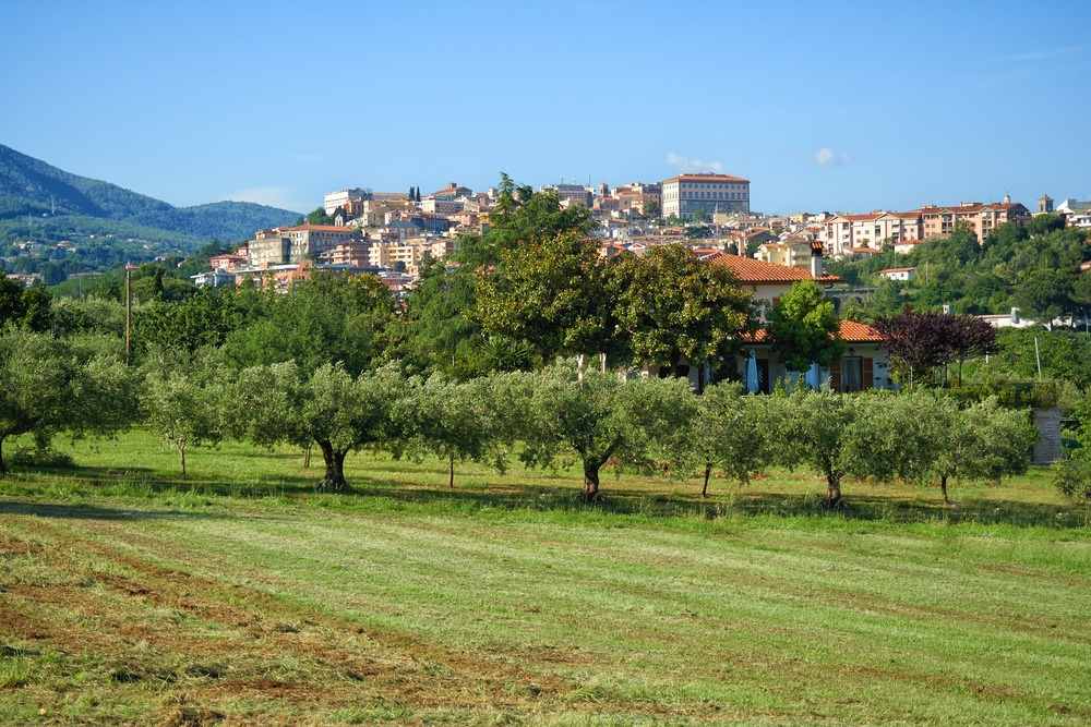 Velletri, Castelli Romani