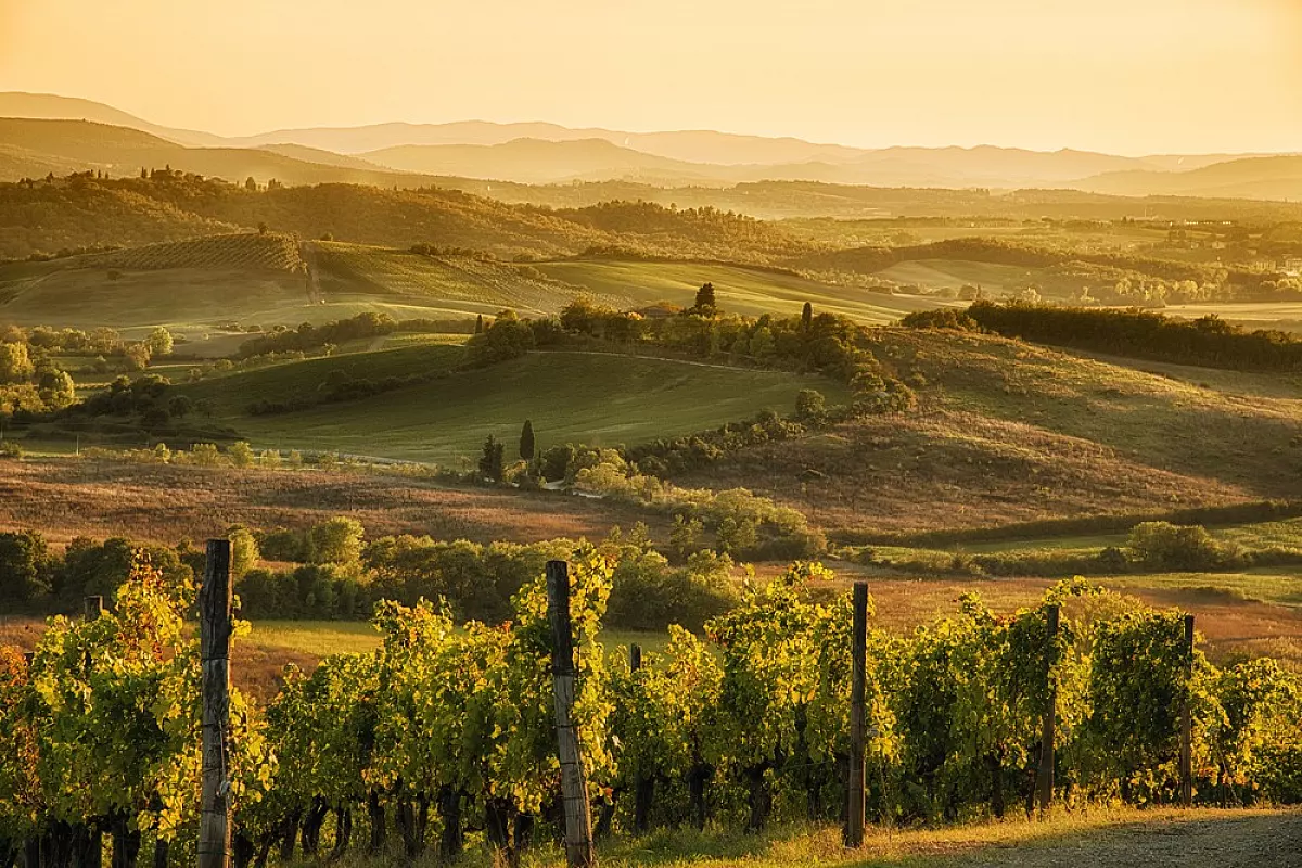 La Strada del Vino e dell'olio del Chianti Classico 