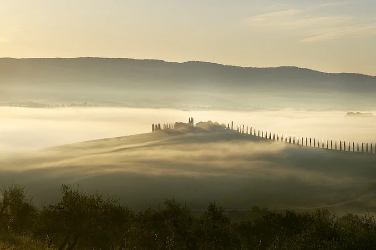 AETOS, alla scoperta dell'Olio extravergine d'oliva biologico della Toscana