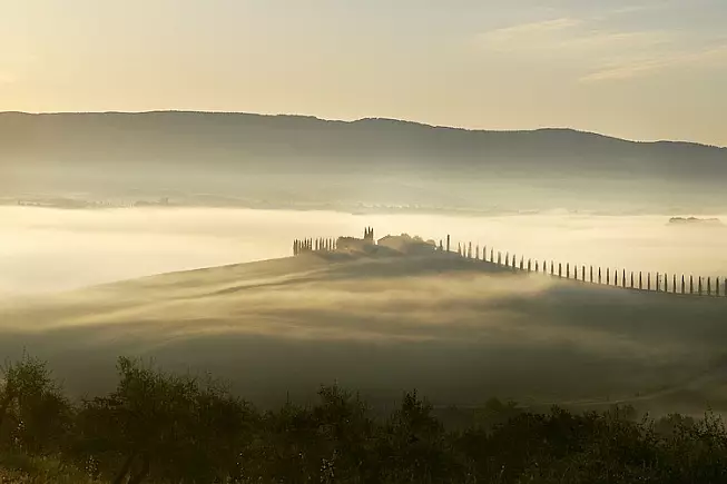 AETOS, alla scoperta dell'Olio extravergine d'oliva biologico della Toscana