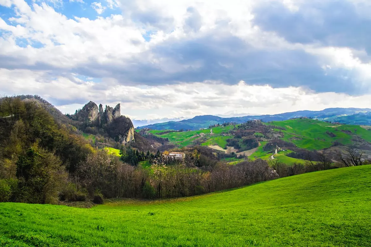 Vignola