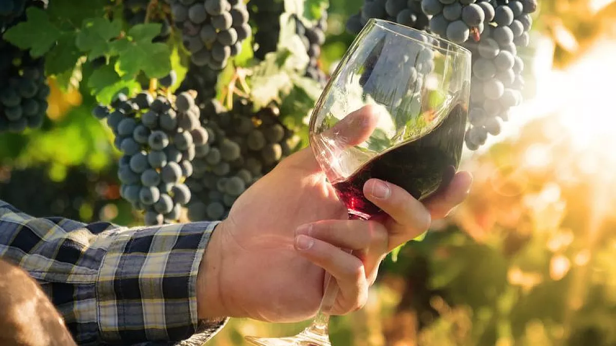 mercato dei vini di piacenza