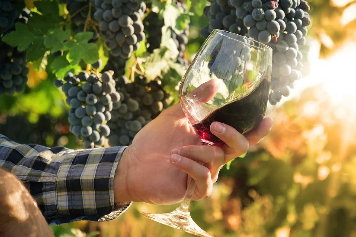 mercato dei vini di piacenza