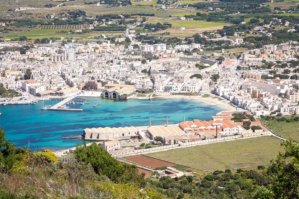 Ficazza di Tonno a Favignana