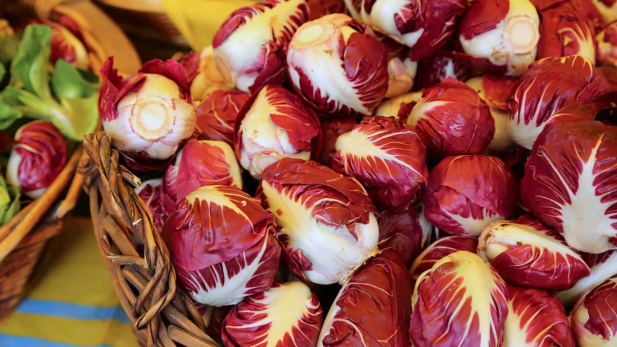 radicchio di verona