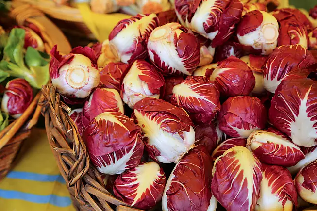 radicchio di verona