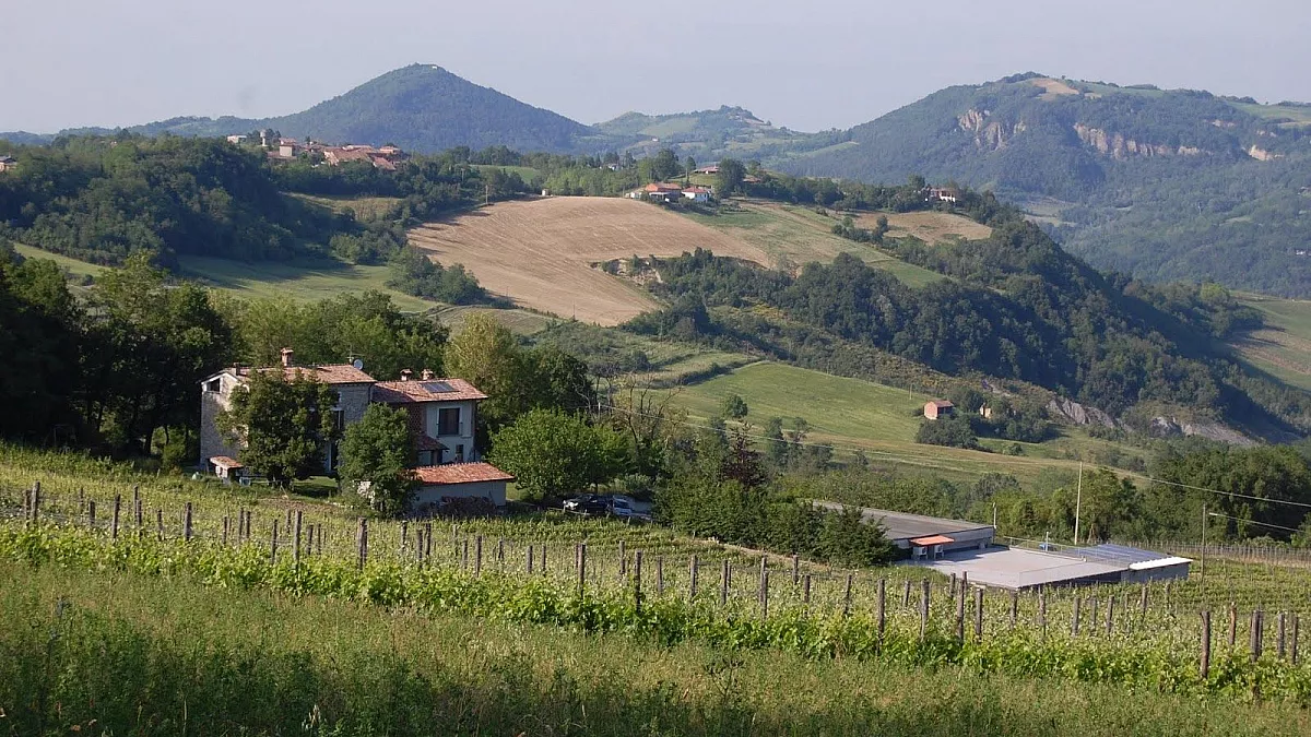 Pozzolgroppo-vigneti© Associazione Calyx
