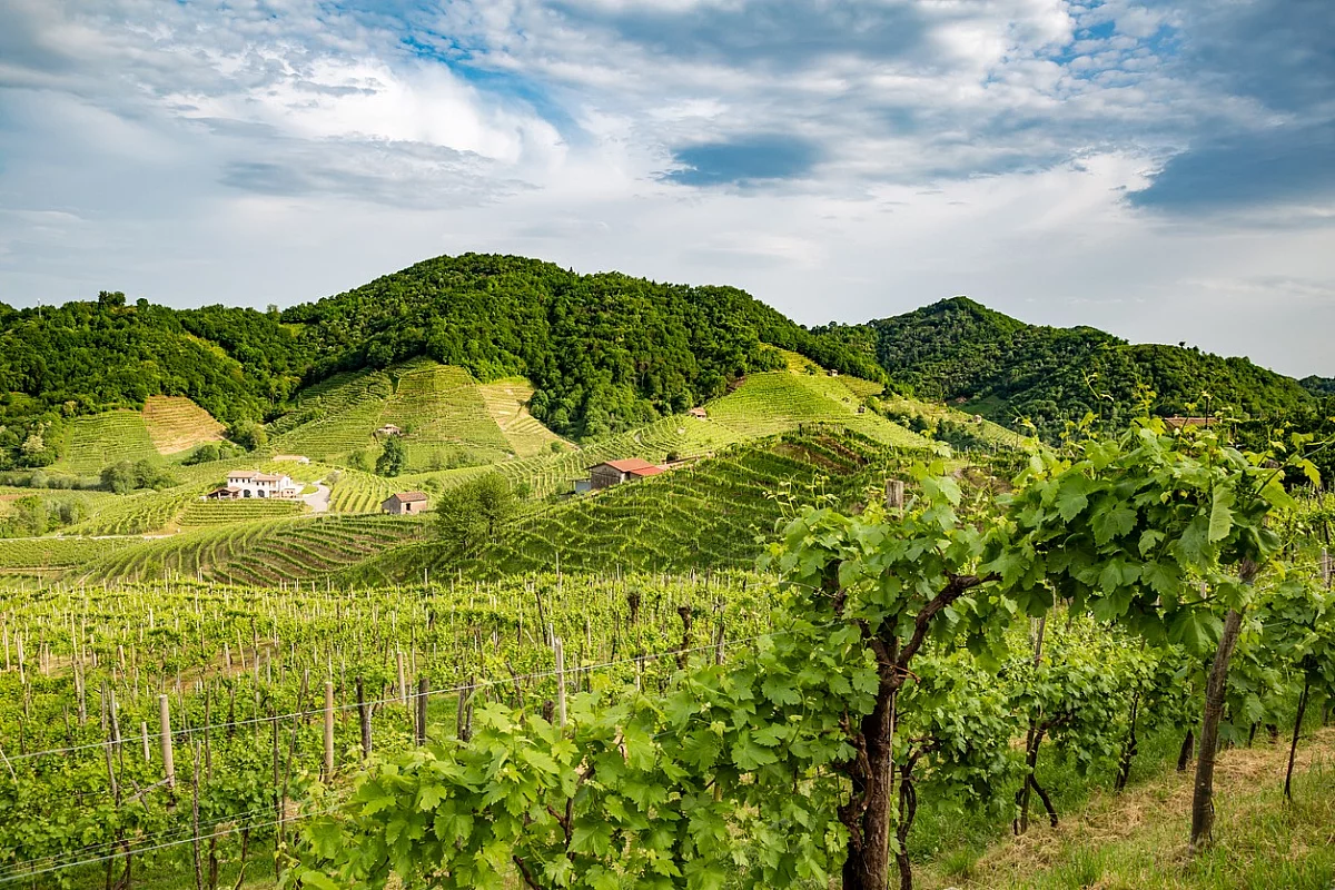 Colline del Prosecco 