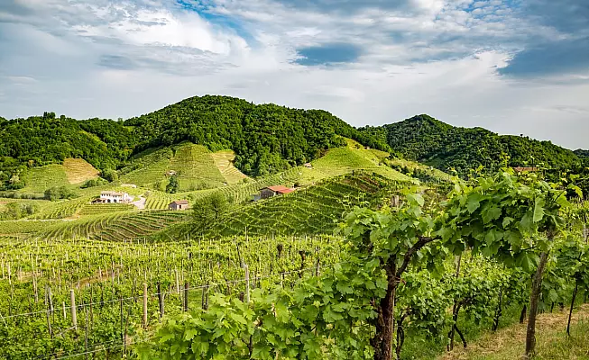 Terre del Prosecco