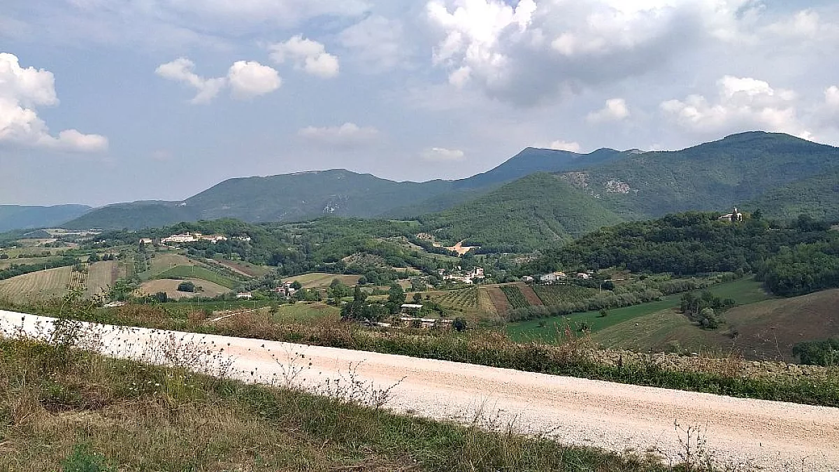 Le colline marchigiane