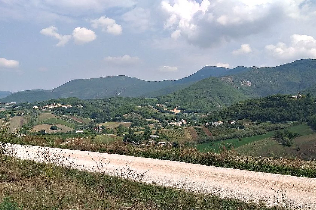 Le colline marchigiane