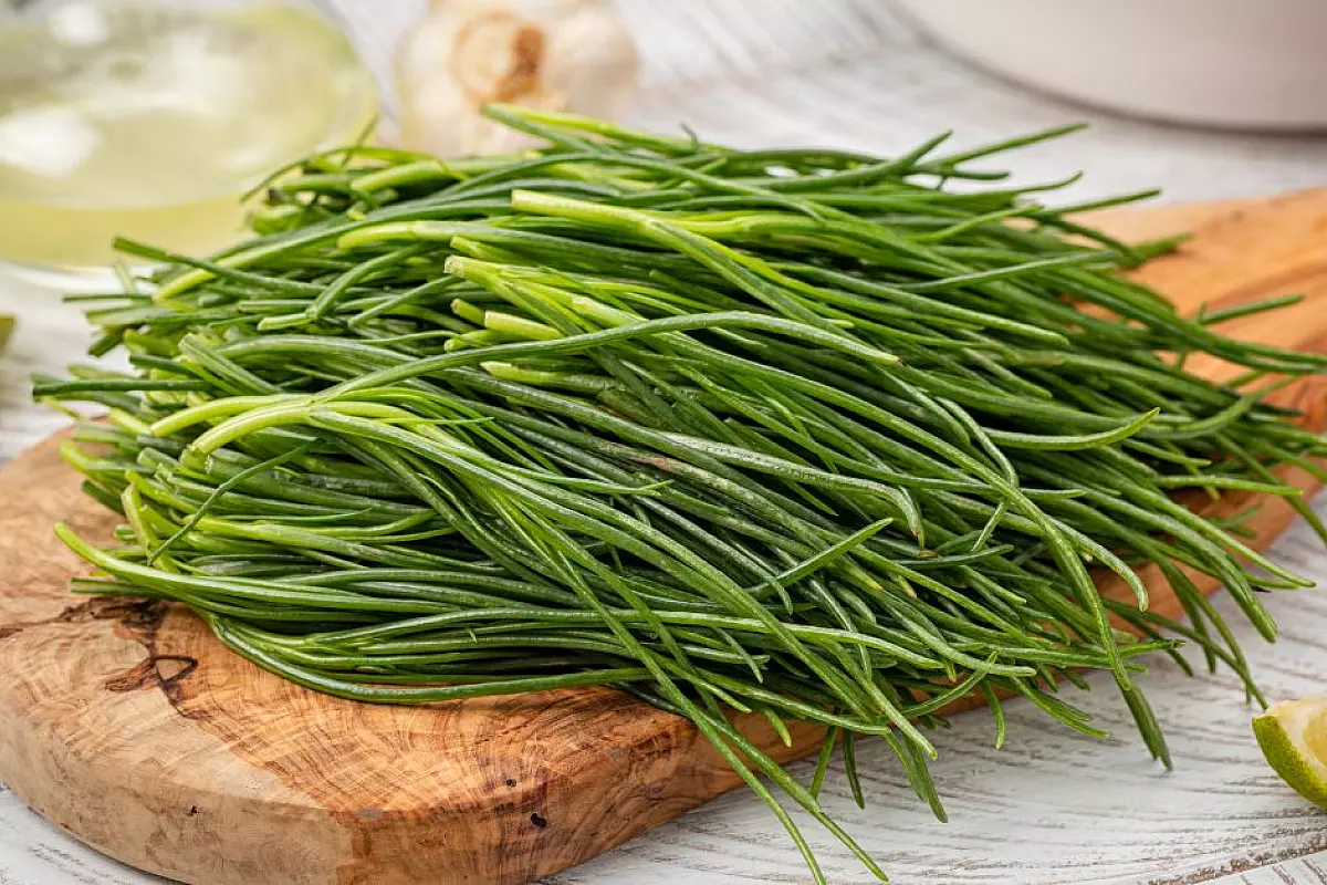 Agretti, o barba di frate