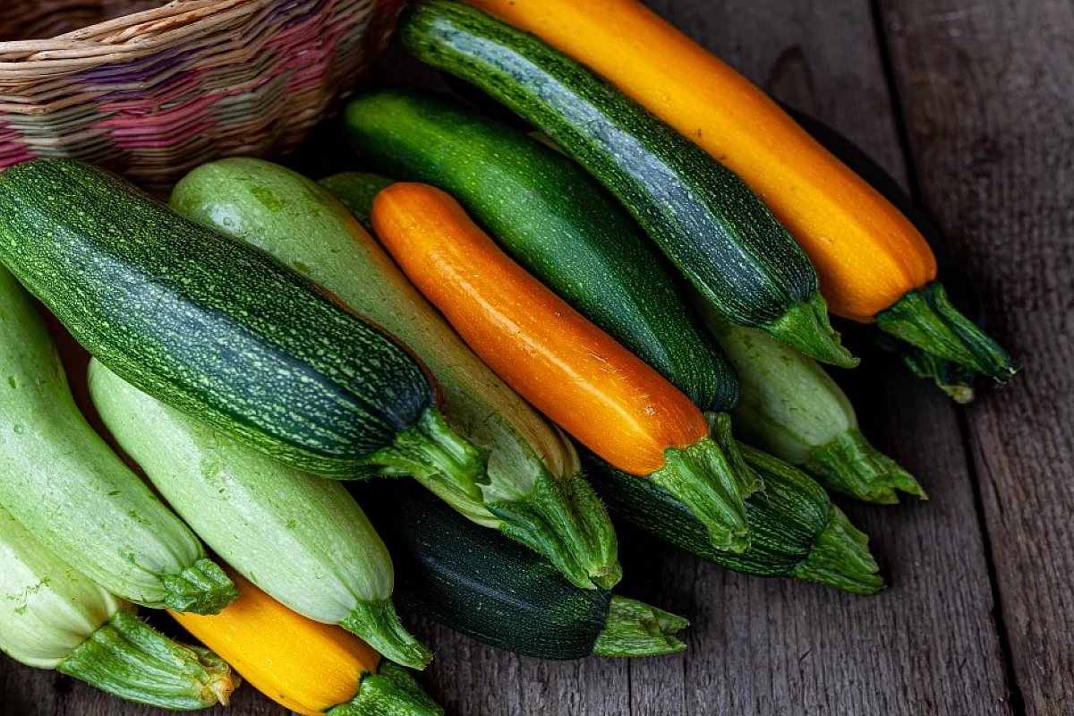 Zucchine fresche