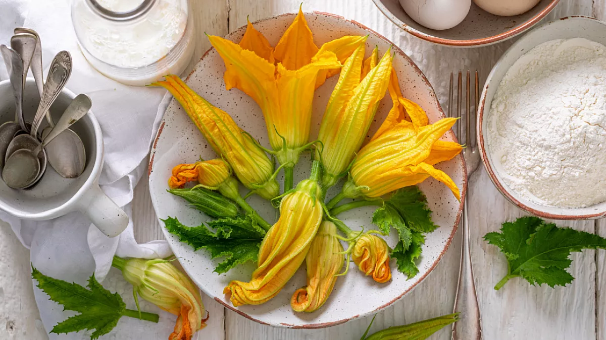 fiori di zucca