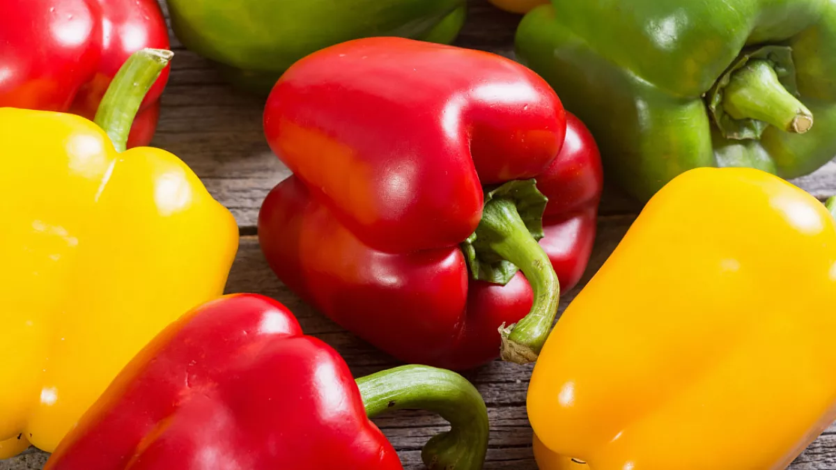 Un condimento pieno di gusto, creato con l'amore per i sapori mediterranei.