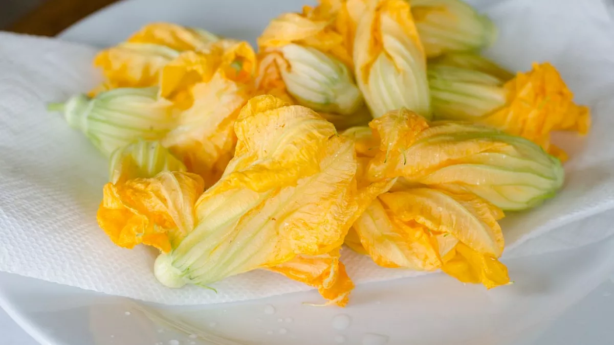 pizza con fiori di zucca in pastella