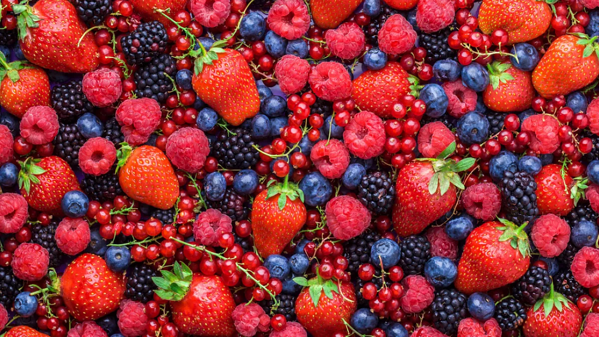 plum-cake frutti di bosco