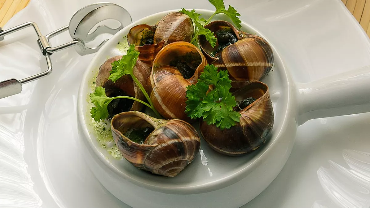 Lumache alla bourguignonne