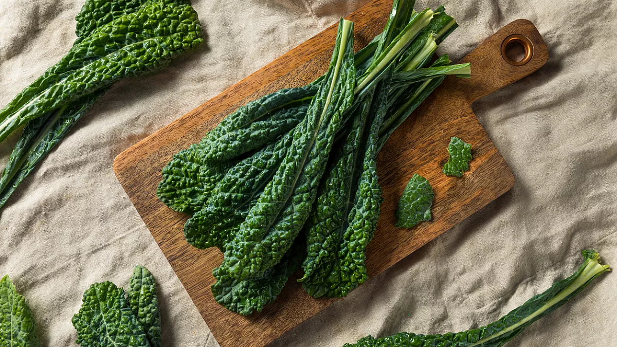 cavolo nero
