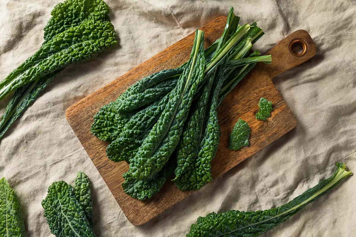 cavolo nero