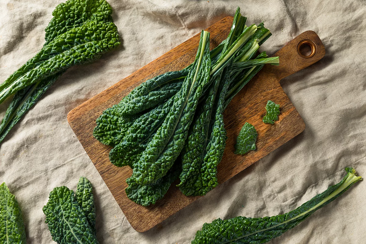 cavolo nero