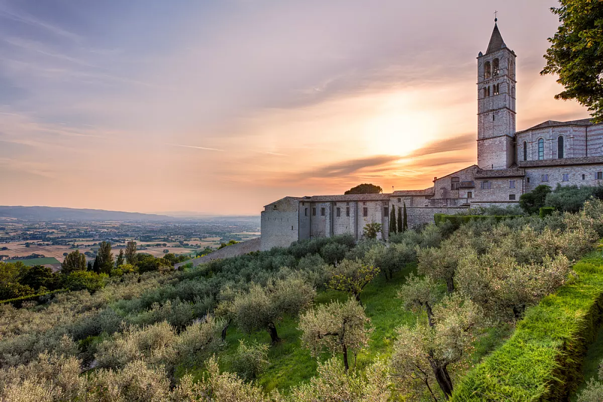 Assisi Olio extravergine di oliva