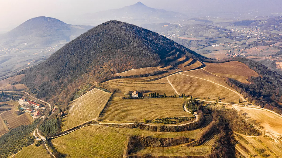 Colli Euganei