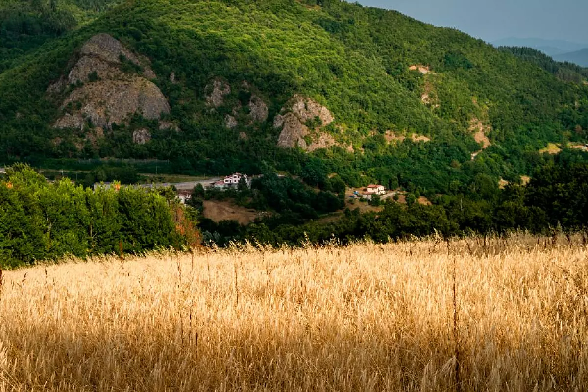 Crediti: sito Consorzio Farro della Garfagnana