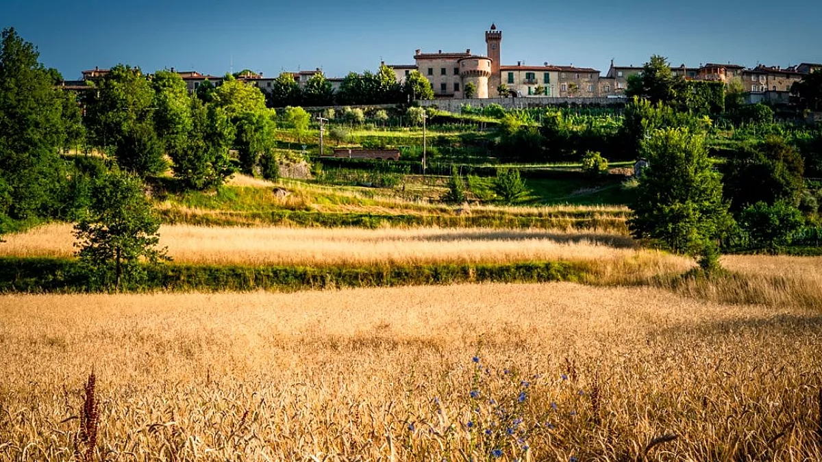 Crediti: sito Consorzio Farro della Garfagnana