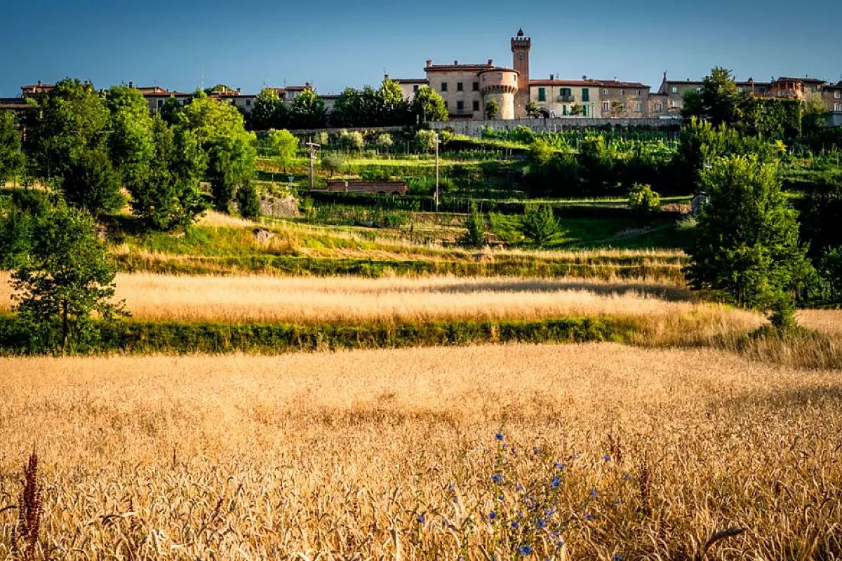 Crediti: sito Consorzio Farro della Garfagnana