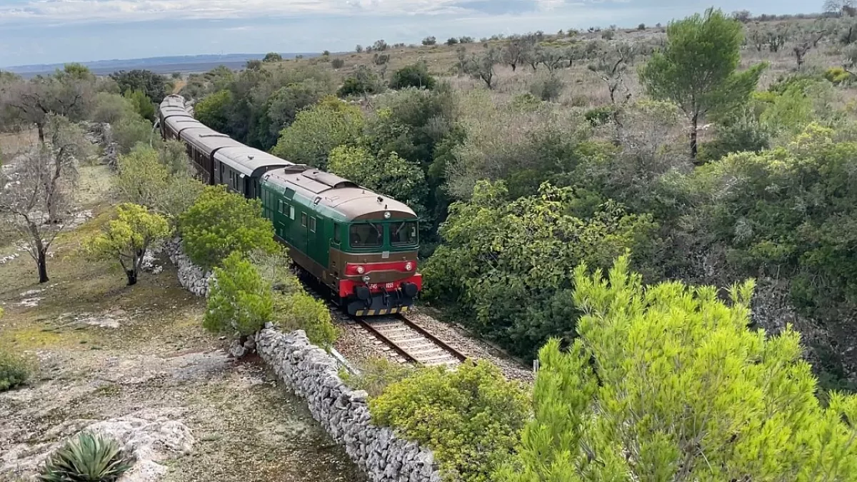 Crediti foto: https://www.fondazionefs.it/content/fondazionefs/it/notizie-aggiornamenti/2023/10/25/salento-wine-train.html