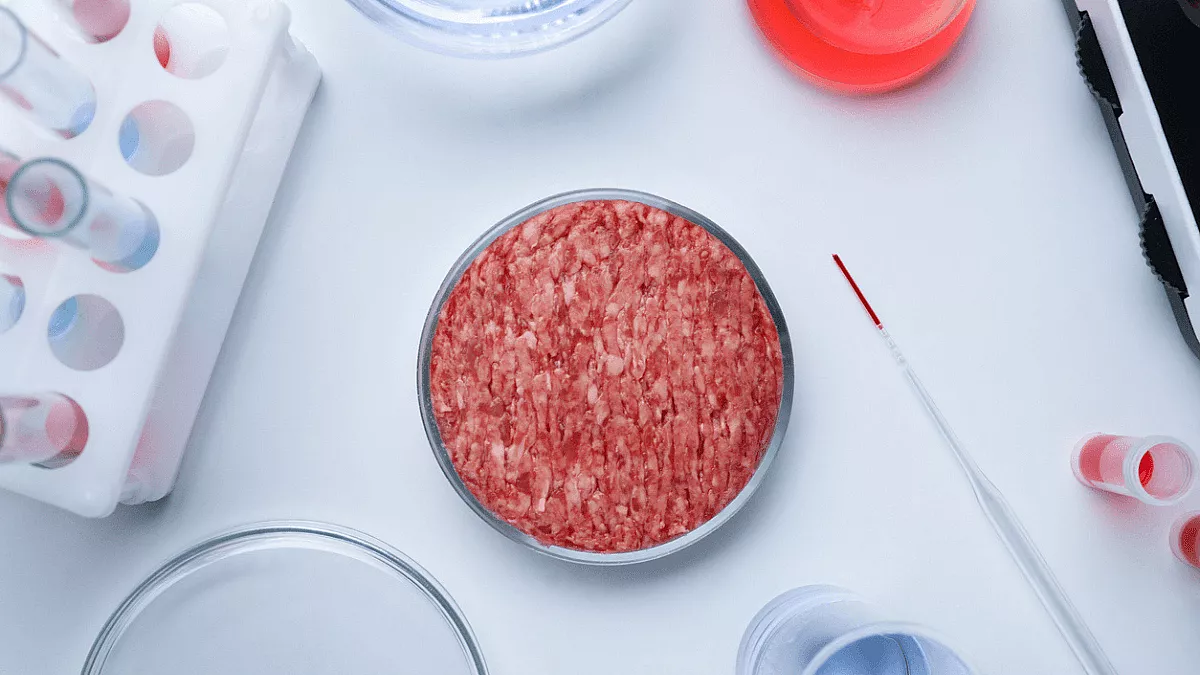 carne sintetica