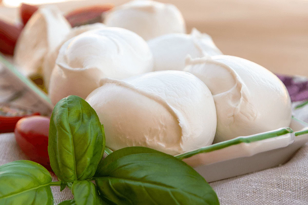 mozzarella di bufala