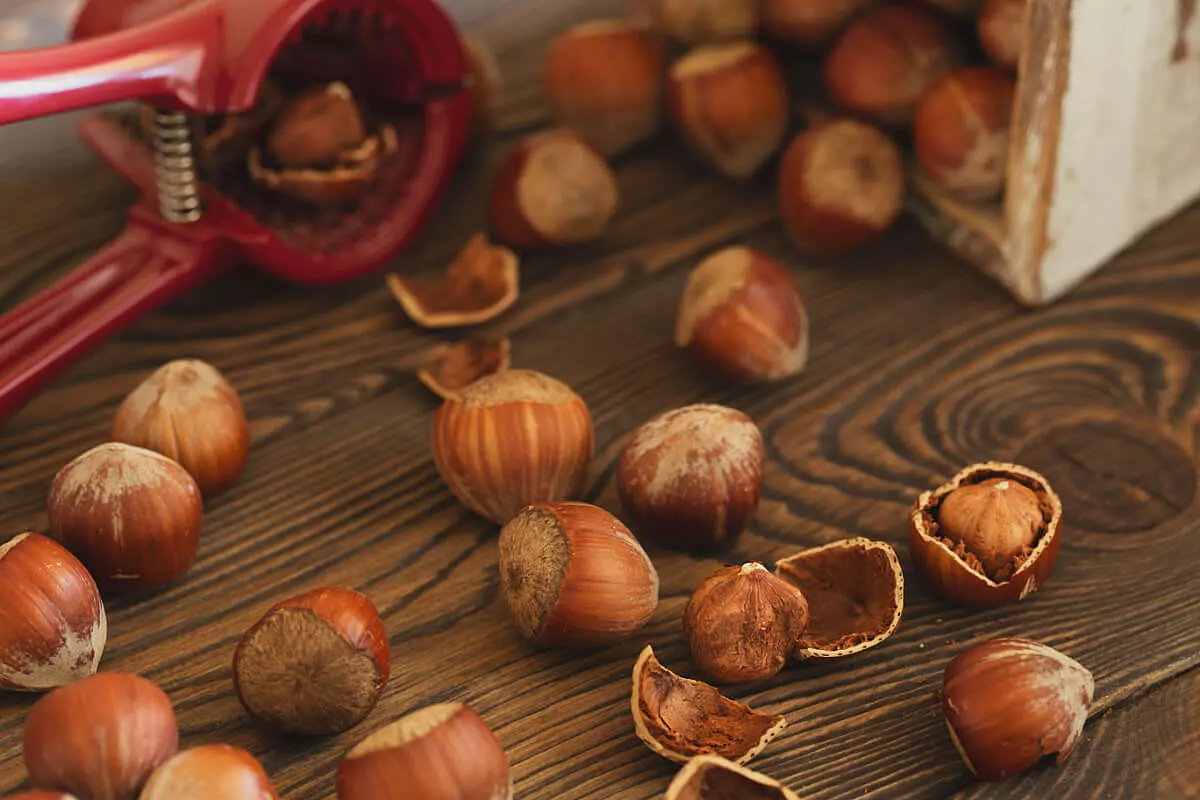 Nocciolart, festa della nocciola a taurano, avellino