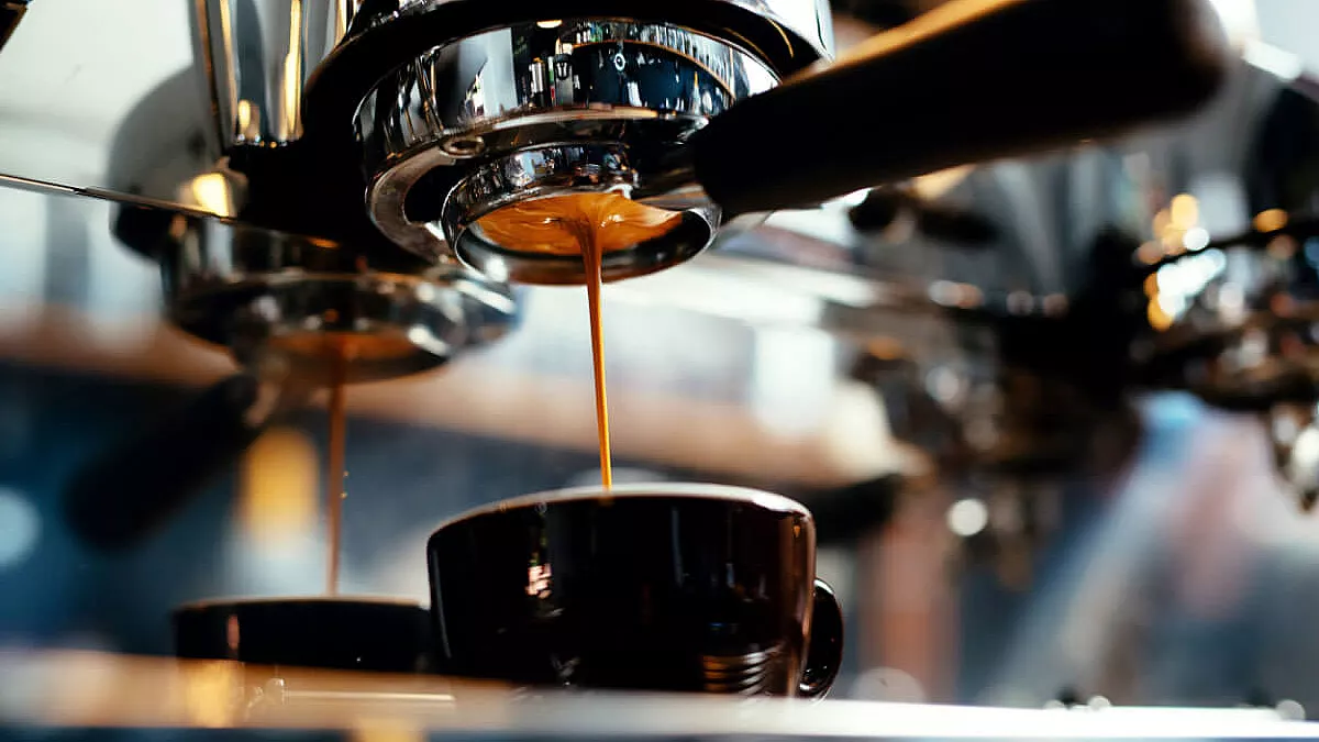 trieste coffee festival