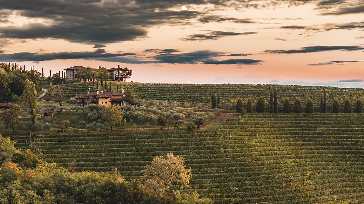 Strada dei Vini del Carso 