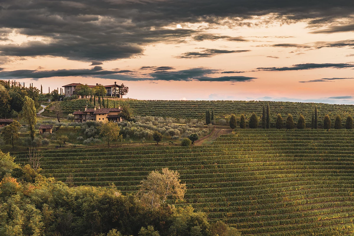 Strada dei Vini del Carso 