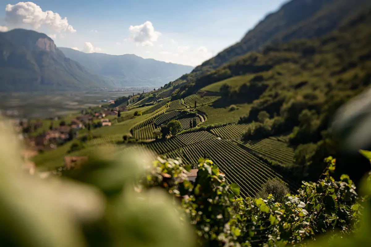 Strada del Vino Alto Adige