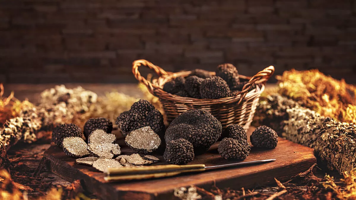 Mostra Mercato del tartufo bianco e nero a Barberino di Mugello, 2023