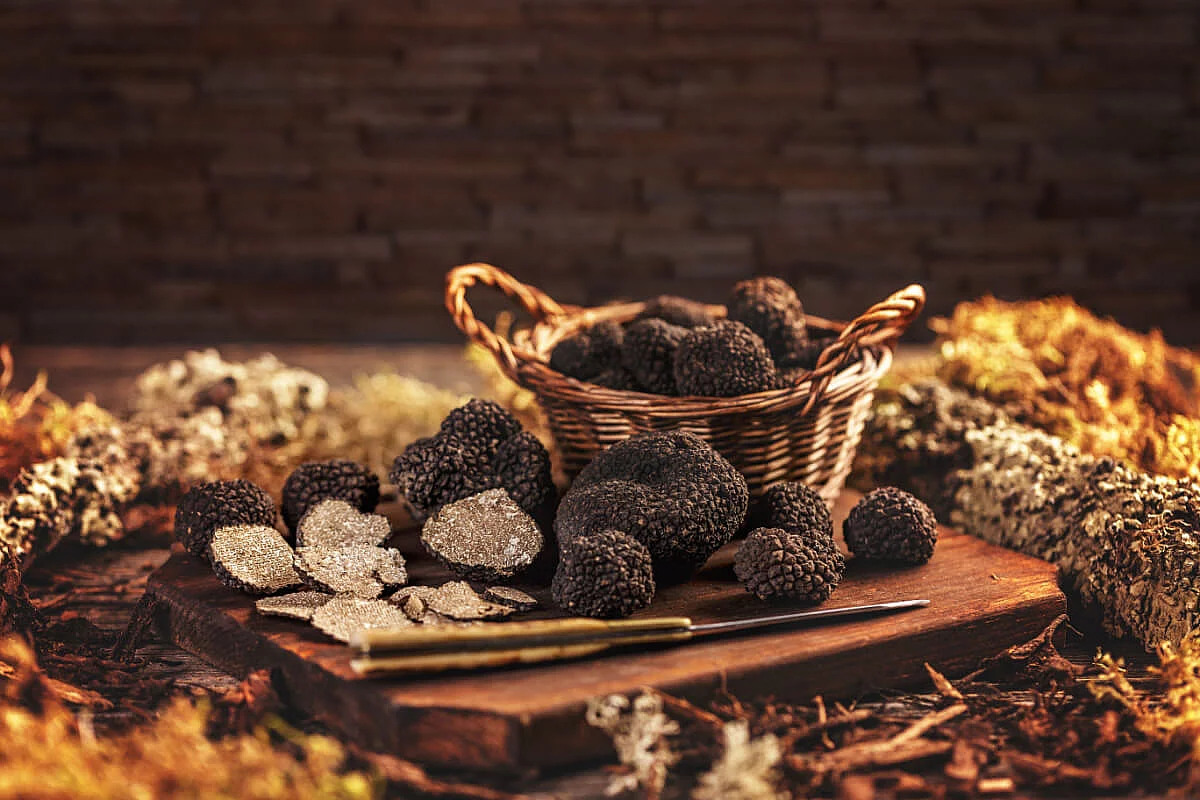 Mostra Mercato del tartufo bianco e nero a Barberino di Mugello, 2023