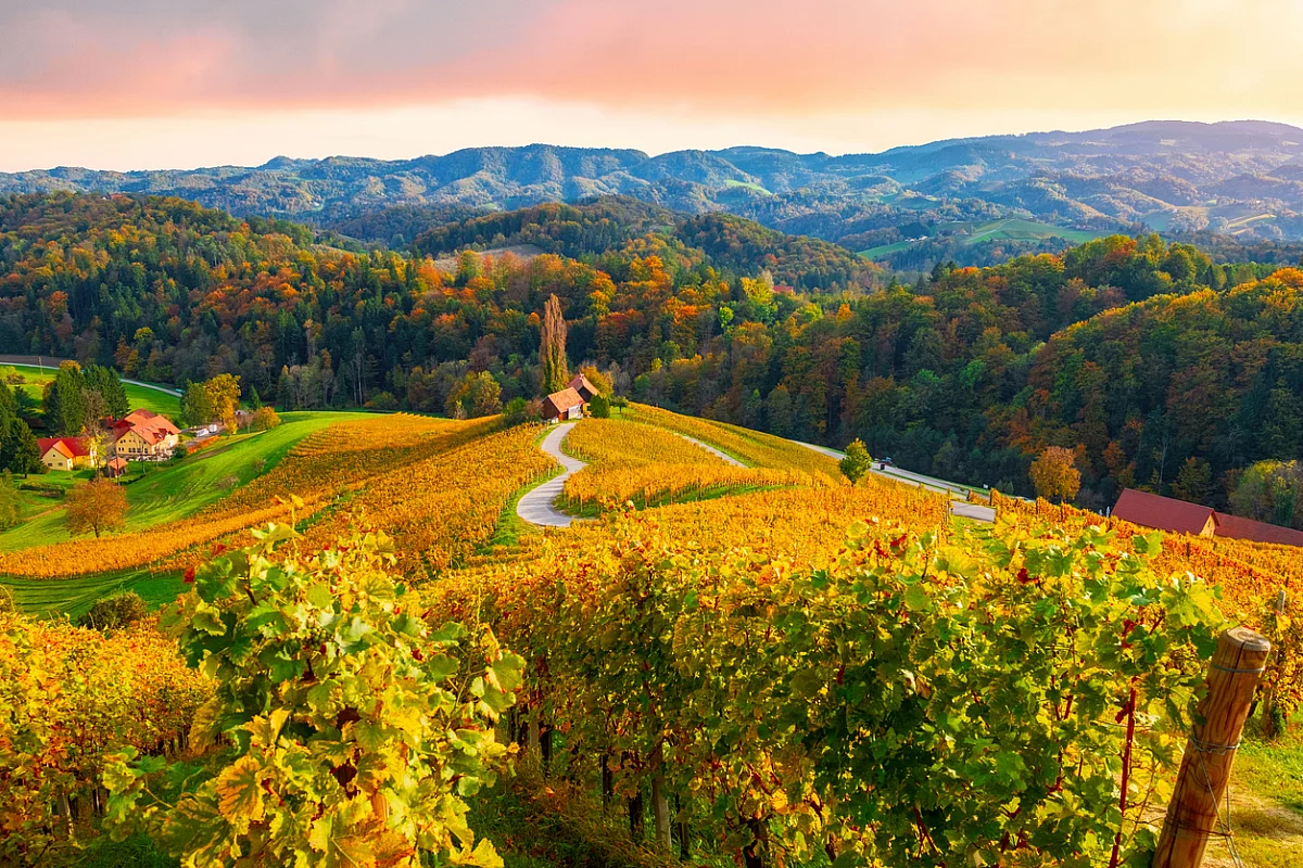 Strade del vino in autunno 