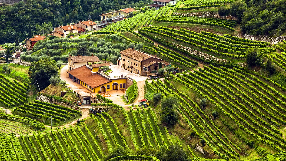 Valpolicella