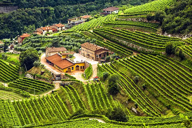 Valpolicella