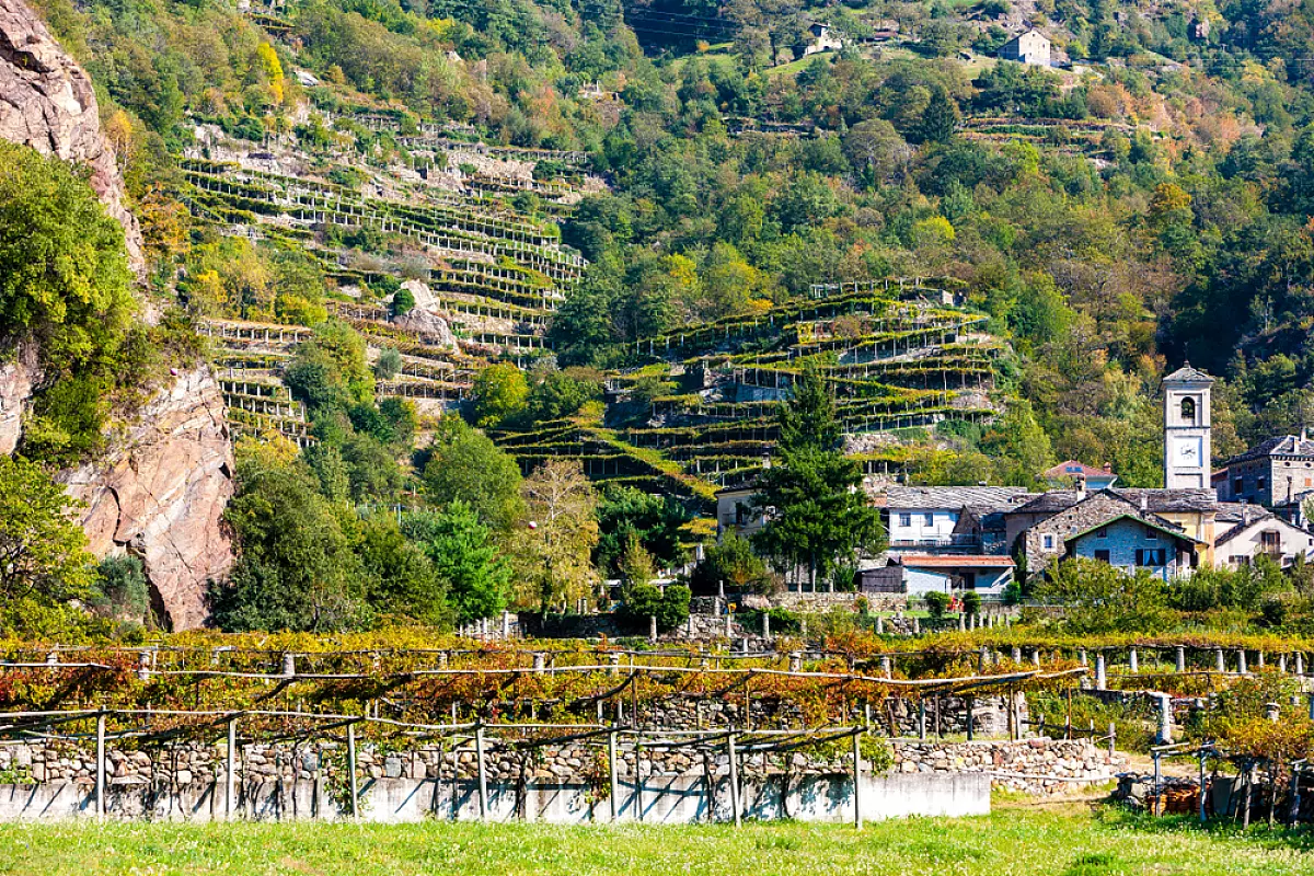 Vigneti Valle d'Aosta