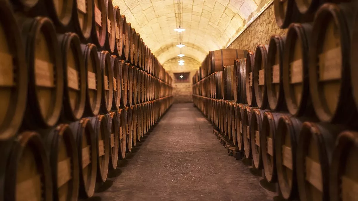 Cantine aperte a San Martino - Arce, 2023