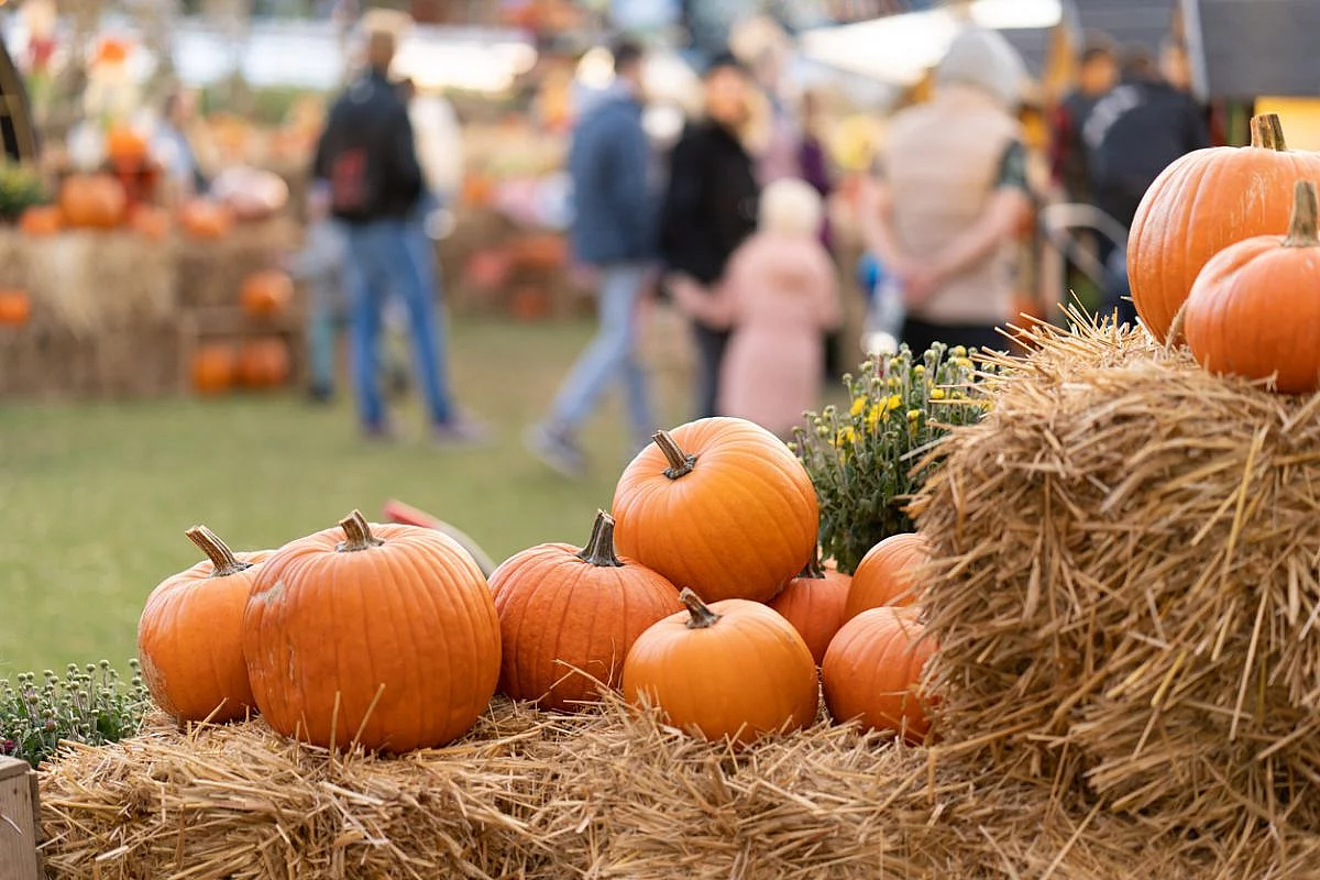 festa della zucca