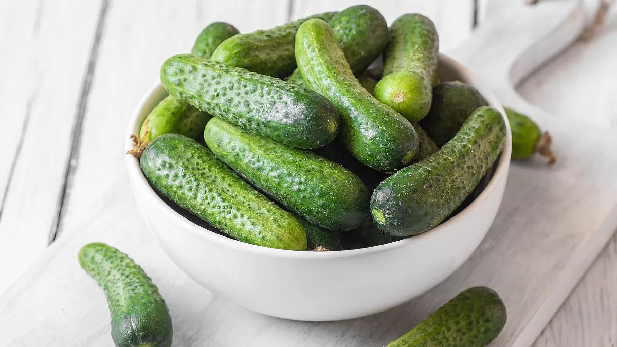 cetriolini sott'olio