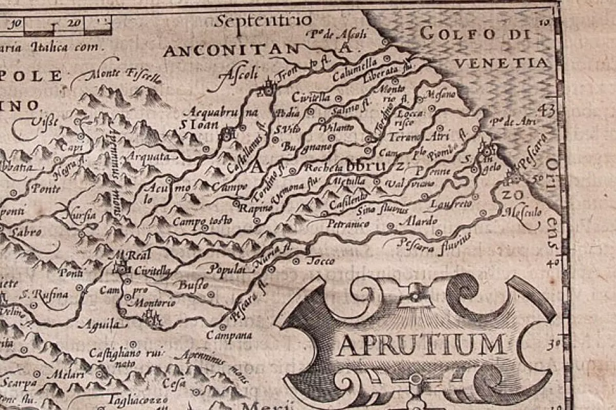 Crediti foto: https://www.oliopalozzo.it/aprutino-pescarese-dop/