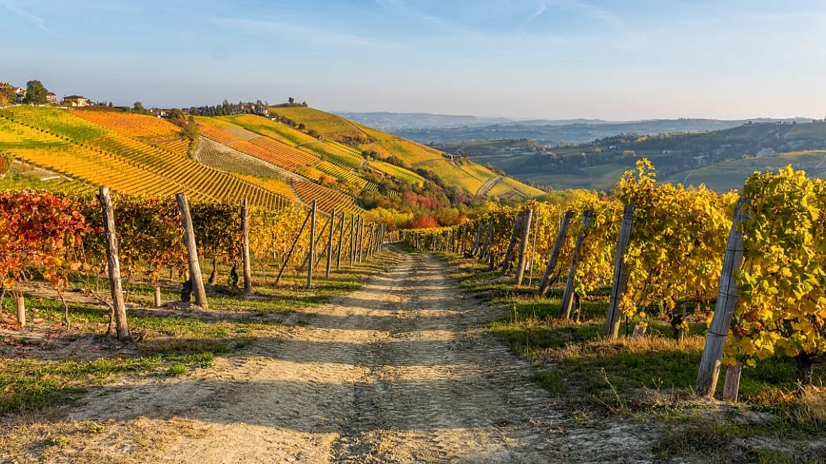 Strada del Vino dell’Alto Monferrato: tre percorsi golosi per una gita d’autunno